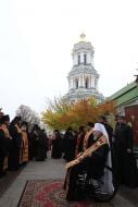 Metropolitan Vladimir