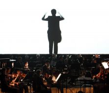 Conductor and orchestra