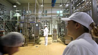 Workers of milk factory