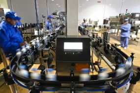 Workers of milk factory