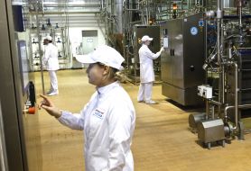 Workers of milk factory