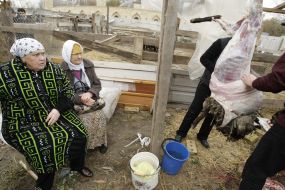 Muslims remove skin from sheep