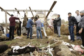 Muslims remove skin from sheep