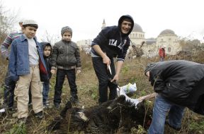 Muslims remove skin from sheep
