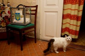Переносная урна для голосования 