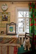 Переносная урна для голосования 