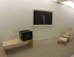 Installation of Yan Xing