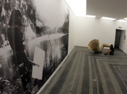 Installation of Amalia Pica 