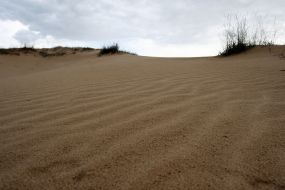 Oleshky Sands