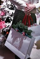 Participant of opening of exhibition  "Christmas Emotions 2013"