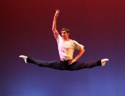 Дмитро Чеботар