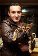 Парень держит породистую кошку