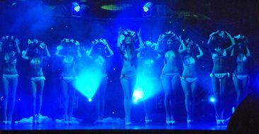 Participants in the beauty contest