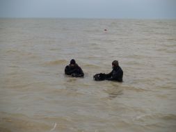 Divers