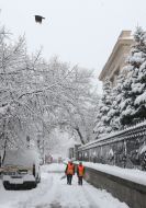 Snow in Kiev