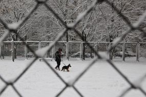 Снег в Киеве