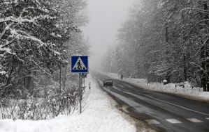 Димерський лісгосп