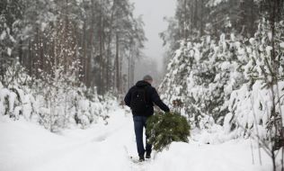 Молода людина на території лісгоспу