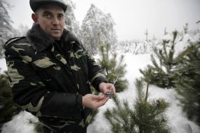 Спеціальний електронний чип для новорічної ялинки