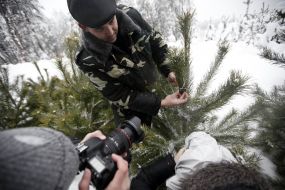 Спеціальний електронний чип для новорічної ялинки