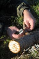 Спеціальний електронний чип