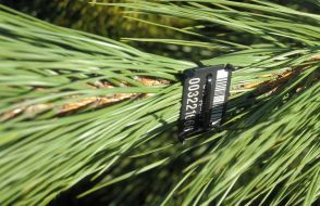 Спеціальний електронний чип 