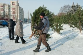 Продавец елок