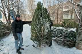 Продавец елок