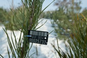 Елка со специальным электронным чипом