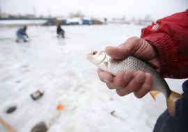 A fisherman shows fish