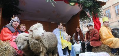 Живая рождественская шопка