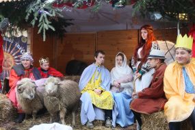 Живая рождественская шопка