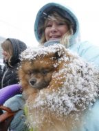 Женщина держит щенка породы шпиц