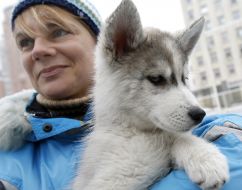 Женщина держит щенка породы хаски