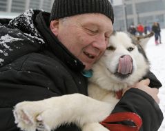 Мужчина держит собаку породы маламут