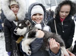 Девочка держит собаку