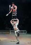 Выступление артистов