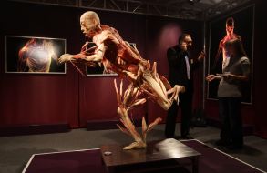 Экспонат выставки