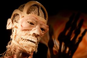 Экспонат выставки