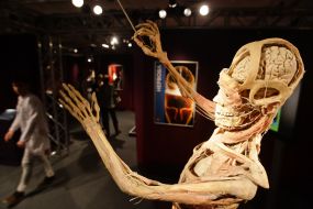 Экспонат выставки