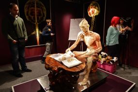 Экспонат выставки