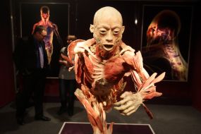 Экспонат выставки