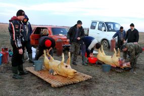 Participants od festival