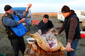 Participants od festival