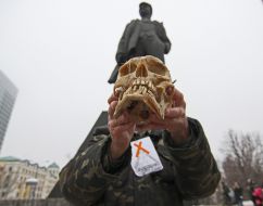 Participants of the meeting