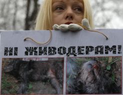 Participant of the action of protest holding a poster