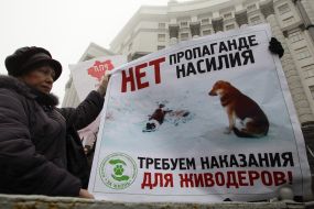 Participant of the action of protest holding a poster