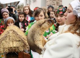 A girl holds a marmot