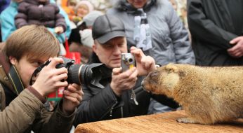 Photographers shoot marmot