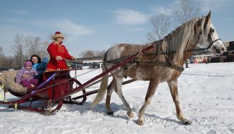 Катання на санях